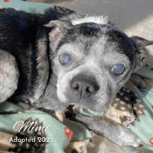 mimi