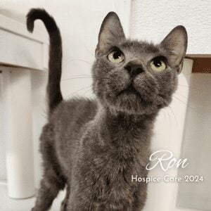ron