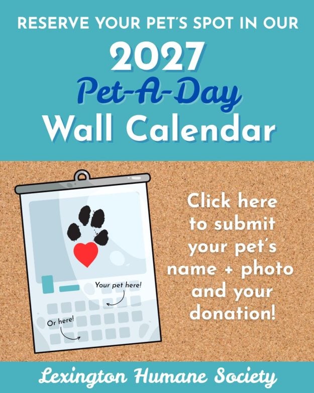 2027 calendar promo graphic (1)
