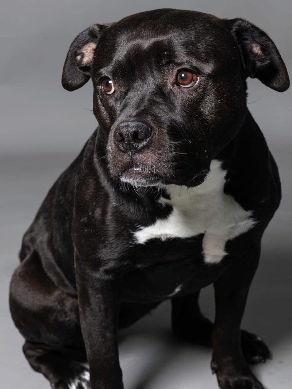 625341927_10164895862997625_8777337349799146914_n