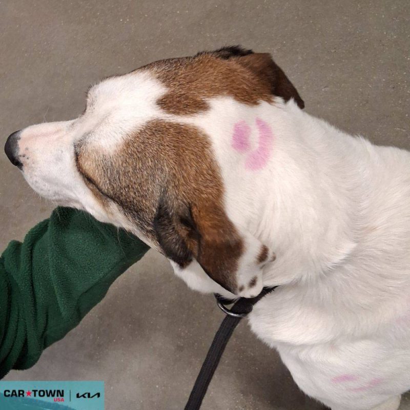 Copy of EAC Profile Template (10)