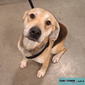 Copy of EAC Profile Template (46)