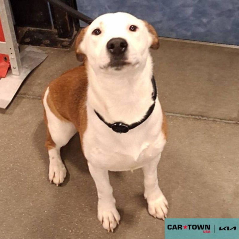 Copy of EAC Profile Template (49)