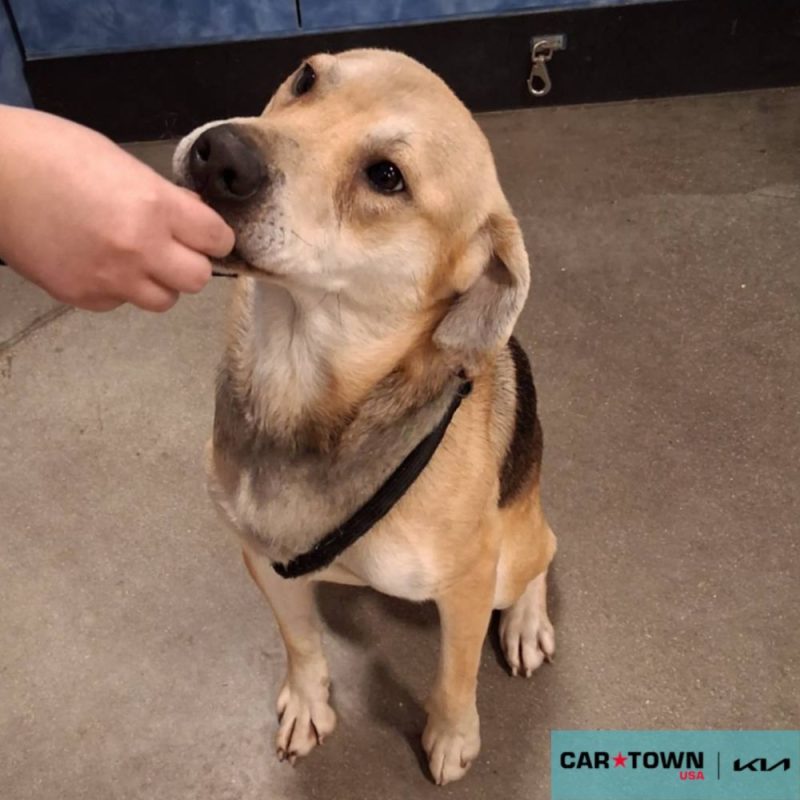 Copy of EAC Profile Template (53)