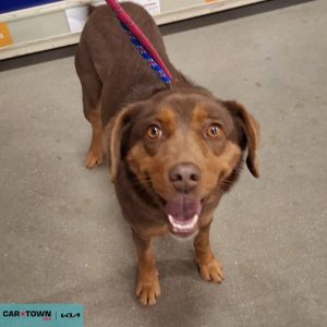 Copy of EAC Profile Template (7)