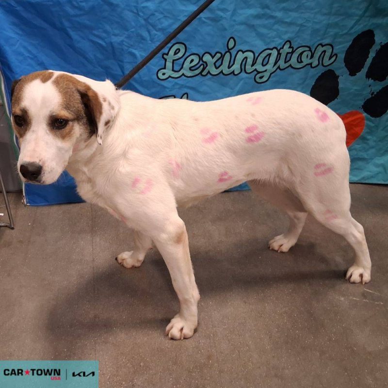 Copy of EAC Profile Template (9)