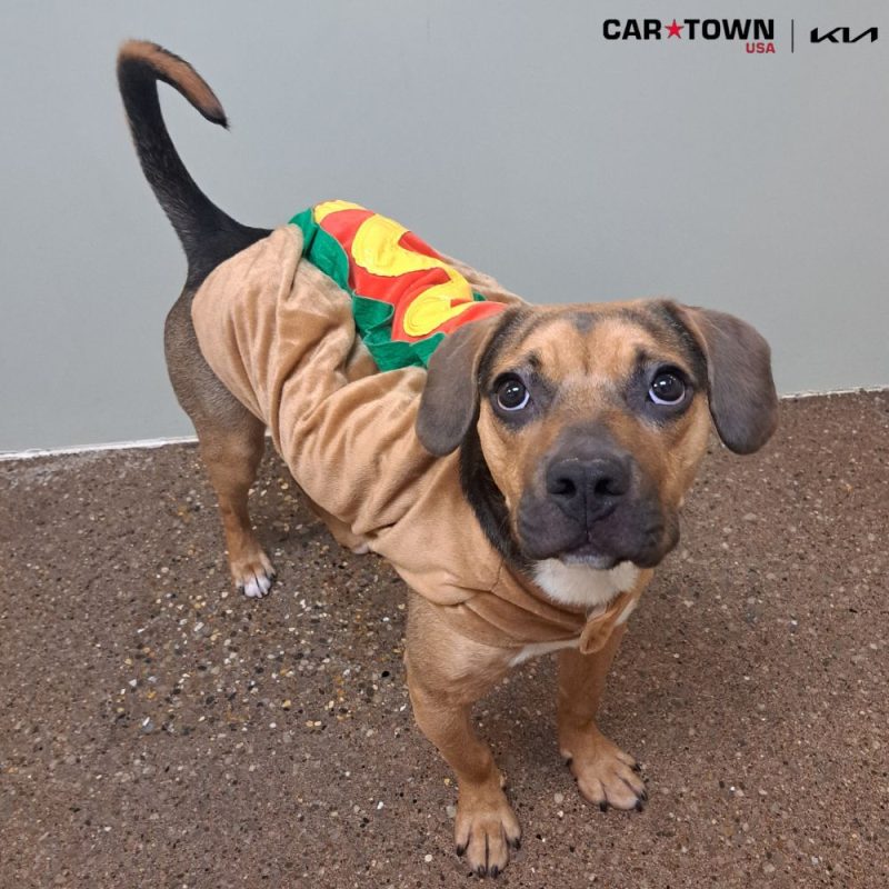 Copy of EAC Profile Template