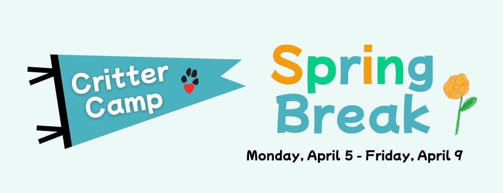 Critter Camp at the Lexington Humane Society is back and better than ever! (13 x 5 in)