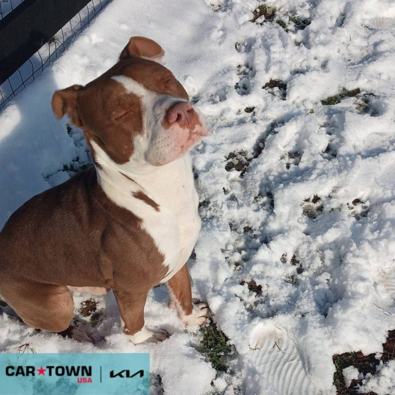 EAC Profile Template (10)