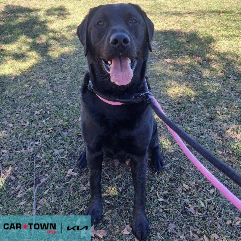 EAC Profile Template (11)