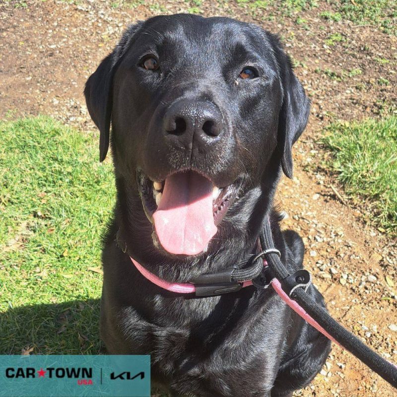 EAC Profile Template (12)