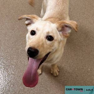 EAC Profile Template (16)