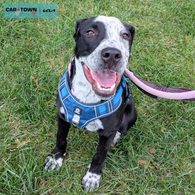 EAC Profile Template - 2025-08-11T130056.961