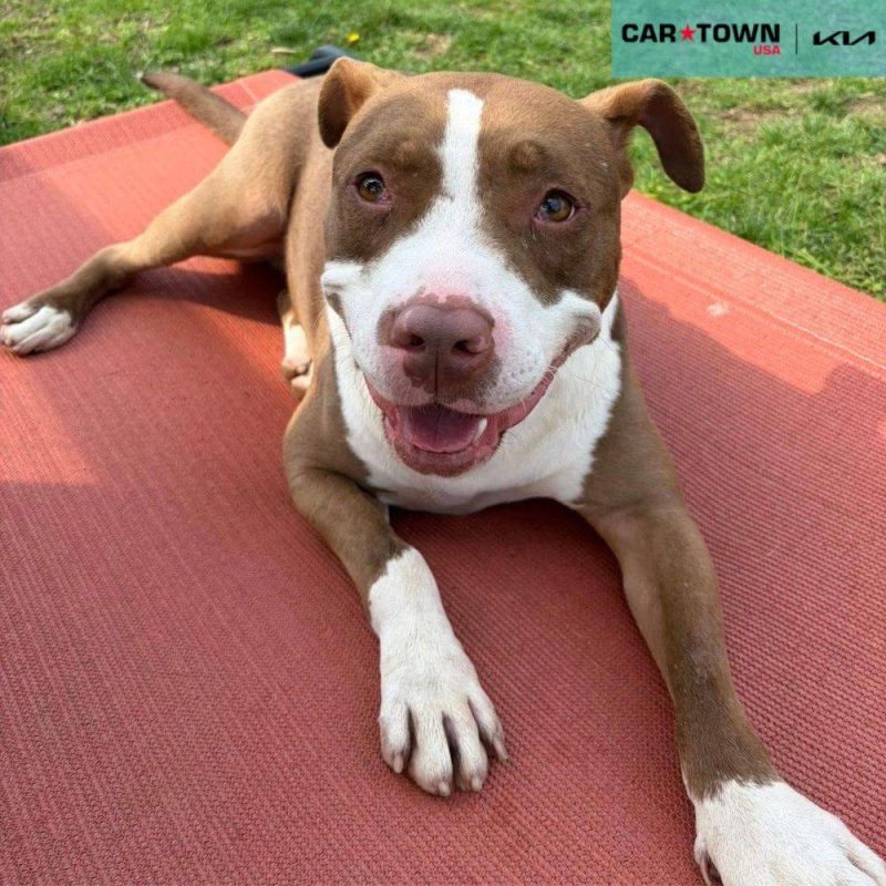 EAC Profile Template - 2026-04-06T134812.502