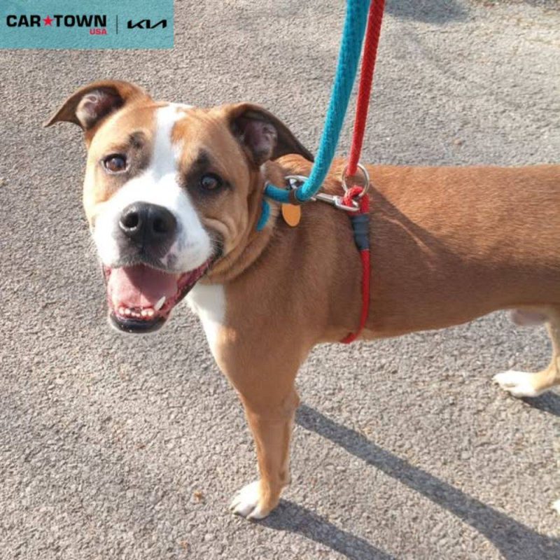 EAC Profile Template - 2026-04-08T162047.954