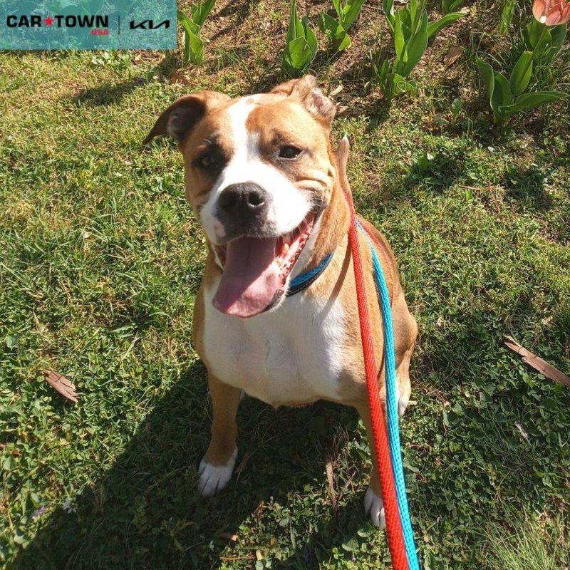 EAC Profile Template - 2026-04-08T162126.427