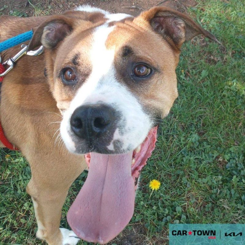 EAC Profile Template - 2026-04-08T162234.684