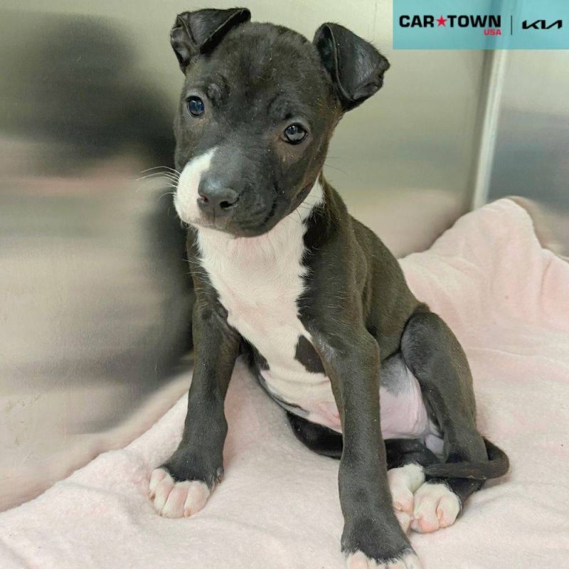 EAC Profile Template - 2026-04-08T163504.432