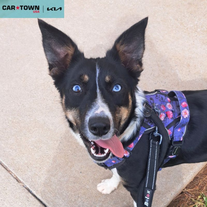 EAC Profile Template - 2026-04-21T124108.469