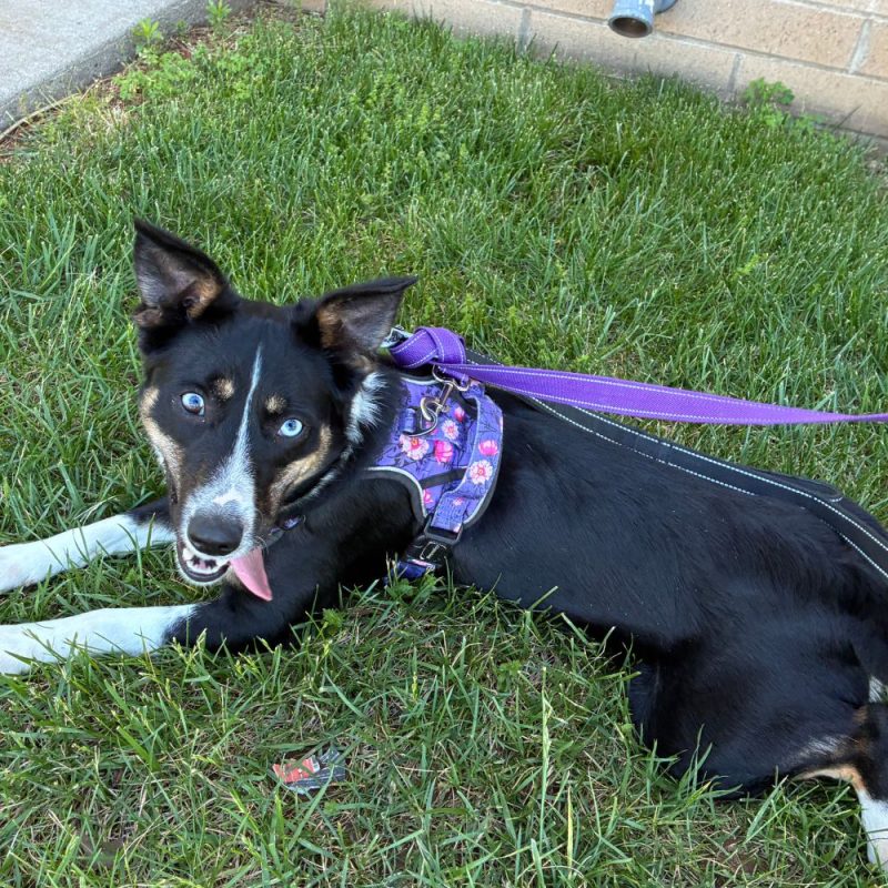 EAC Profile Template - 2026-04-21T130124.026