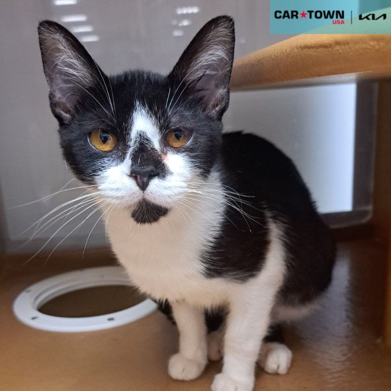 EAC Profile Template - 2026-04-28T135639.596