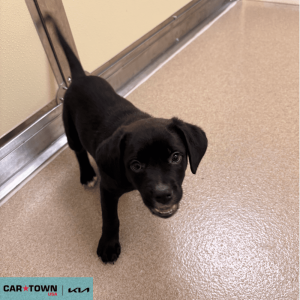 EAC Profile Template (22)