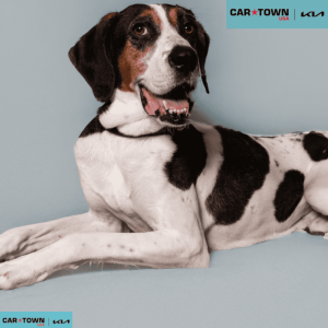 EAC Profile Template (36)