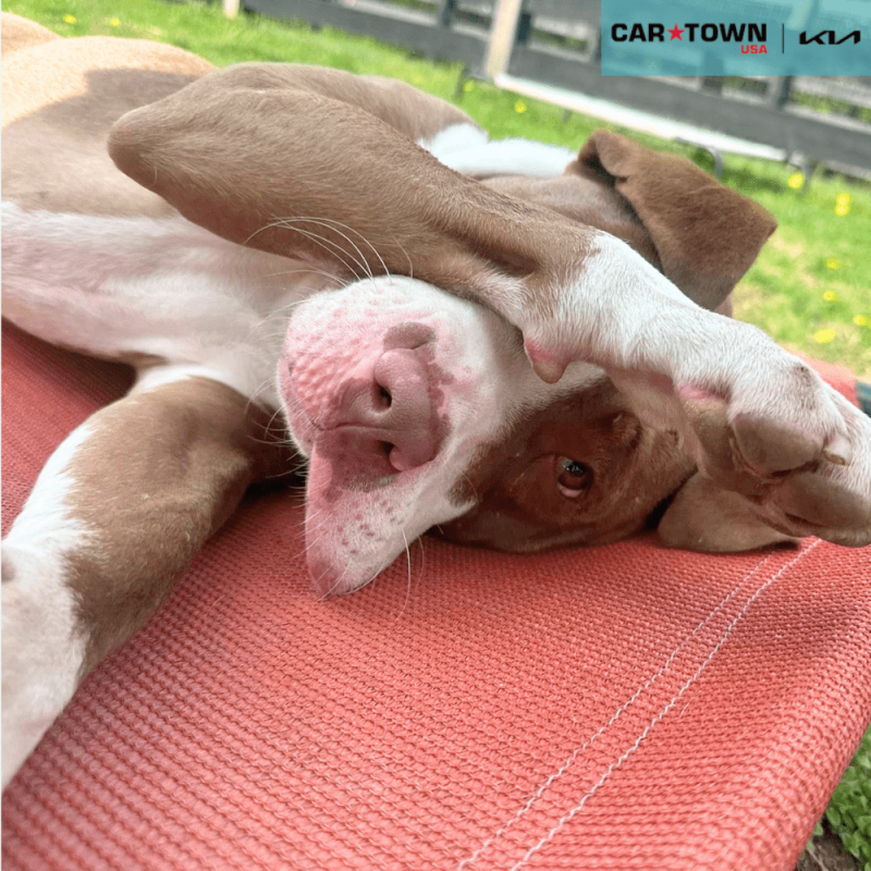 EAC Profile Template (43)