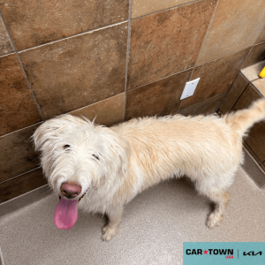 EAC Profile Template (47)