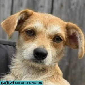 EAC Profile Template (67)