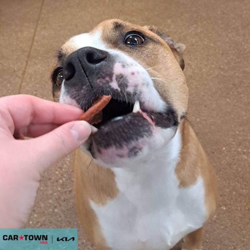 EAC Profile Template (68)