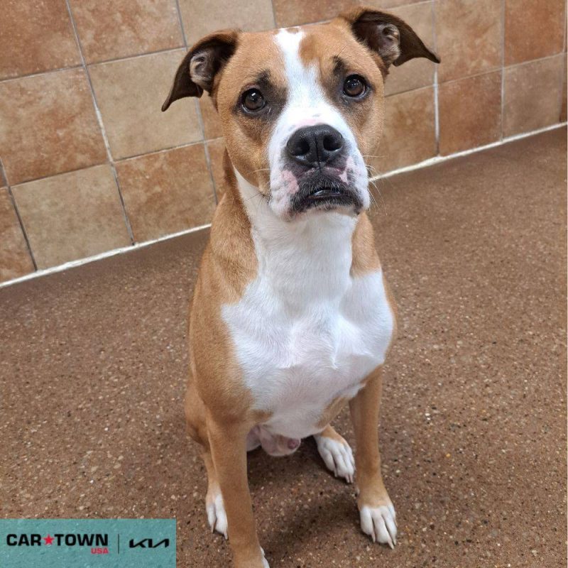 EAC Profile Template (69)