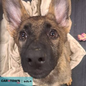 EAC Profile Template (7)