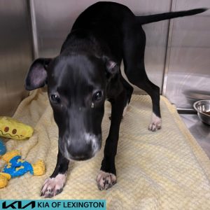 EAC Profile Template (75)