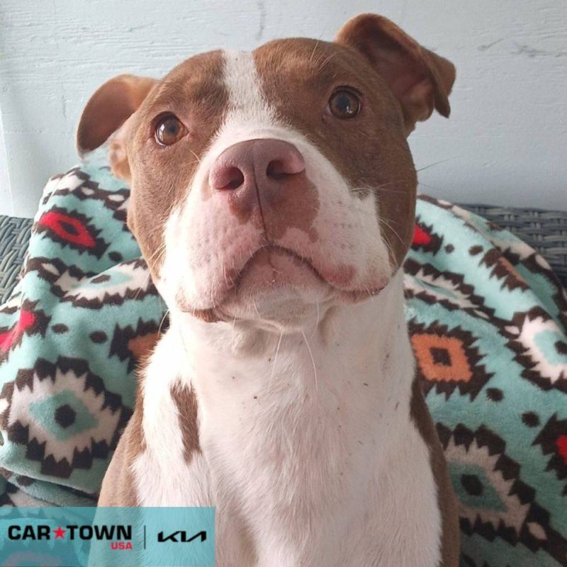 EAC Profile Template (8)