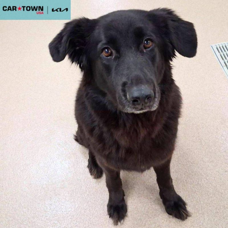 EAC Profile Template (81)