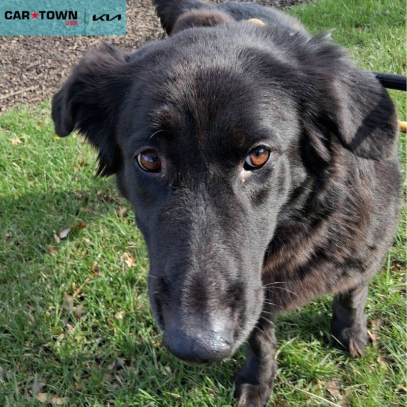 EAC Profile Template (82)