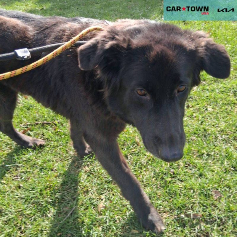 EAC Profile Template (83)