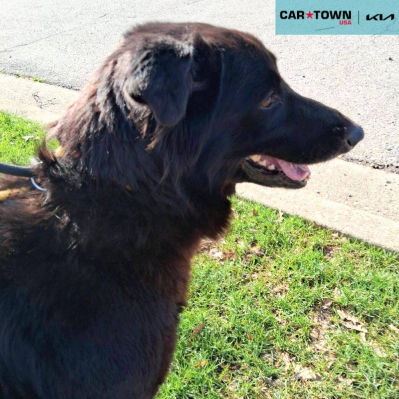 EAC Profile Template (84)