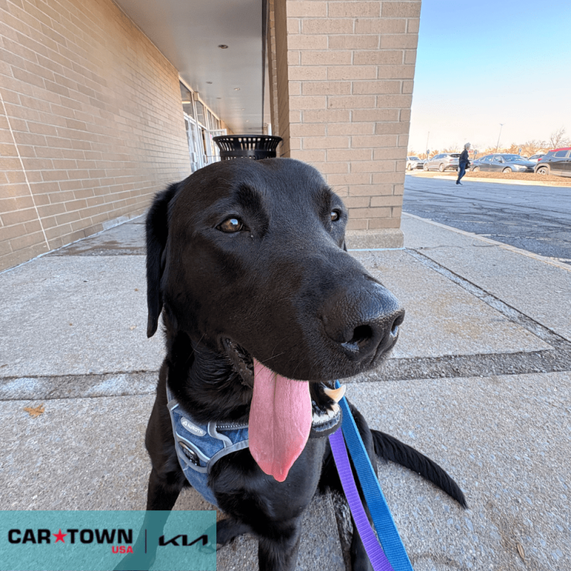 EAC Profile Template