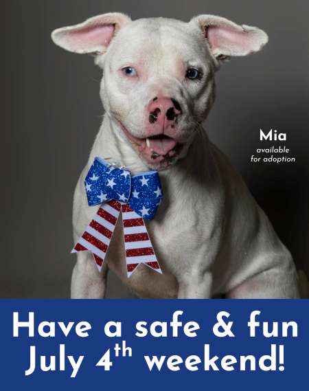 Have a safe & fun July 4th weekend! (1)