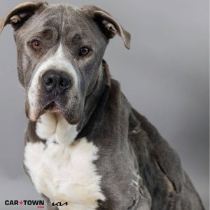 Pictures LHS for real tho (1)