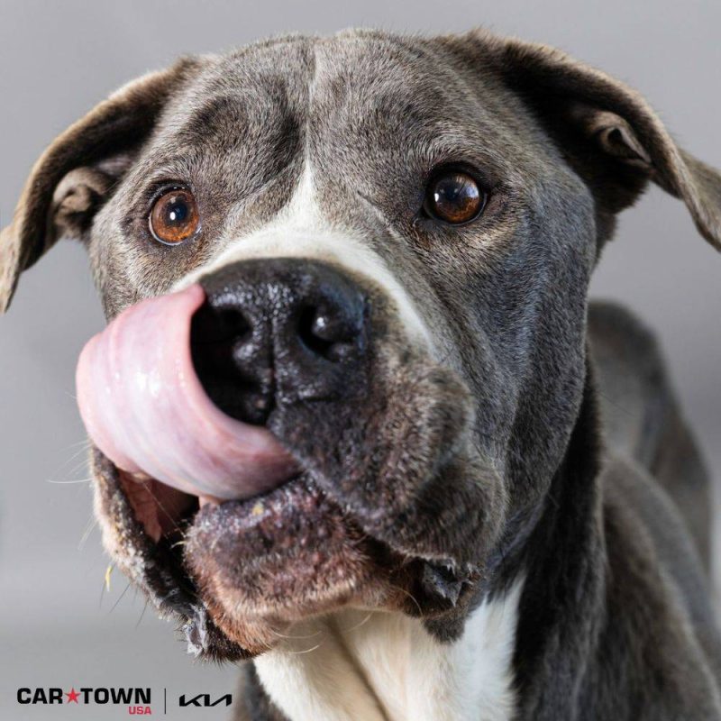 Pictures LHS for real tho (2)