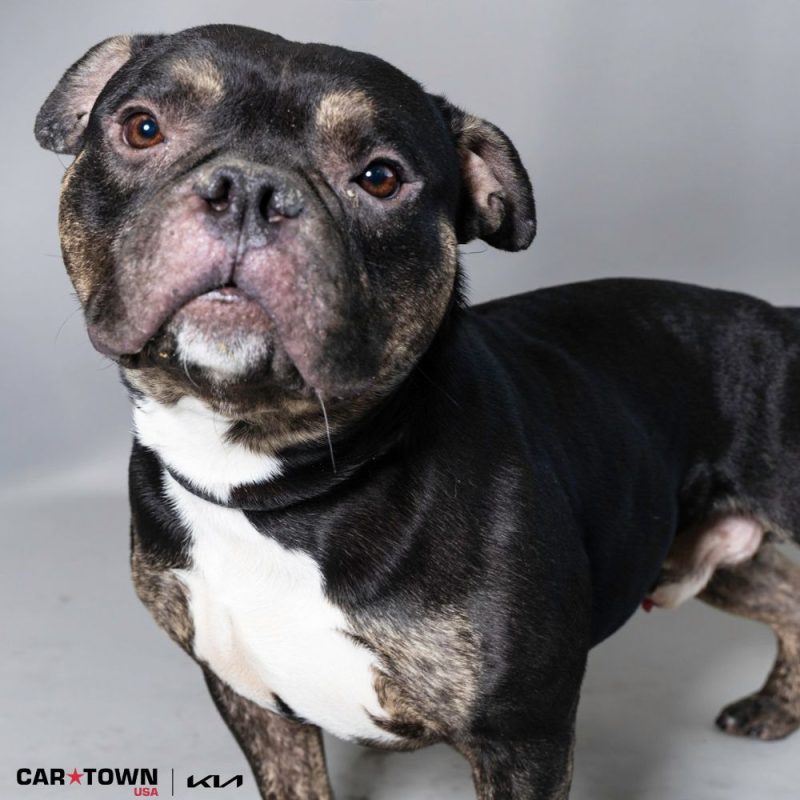 Pictures LHS for real tho (3)