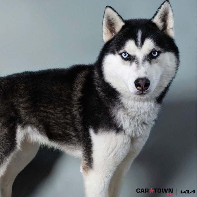 Pictures LHS for real tho