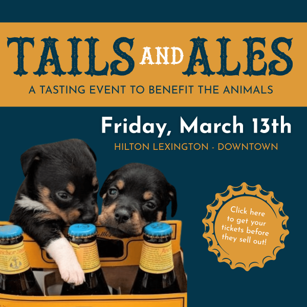 Tails & Ales TV Banner 1920x1080 (6 x 6 in)