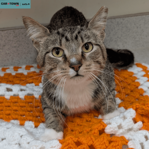 Untitled (1000 x 1000 px) (14)