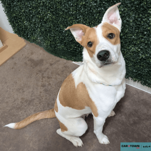 Untitled (1000 x 1000 px) (17)