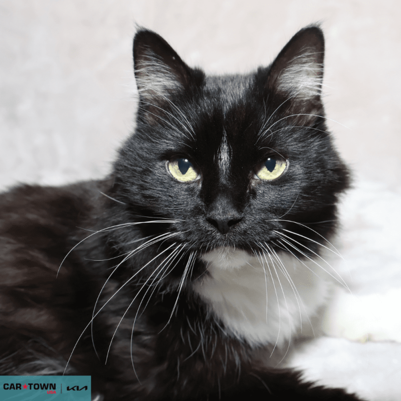 Untitled (1000 x 1000 px) - 2026-03-31T162202.003