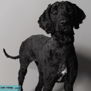 Untitled (1000 x 1000 px) - 2026-03-31T163622.953